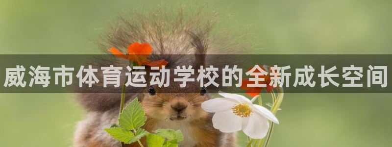 米兰体育官方正版app科技:威海市体育运动学校的全新成长空间