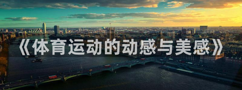 米兰体育官网下载招商电话是多少:《体育运动的动感与美感》